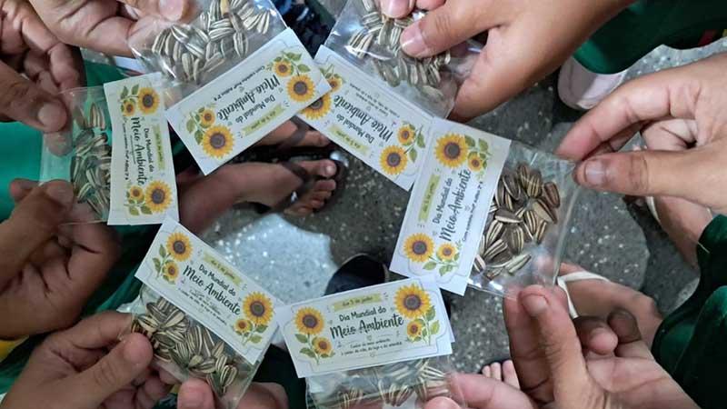 Escolas de Várzea Grande promovem ações pelo Dia do Meio Ambiente